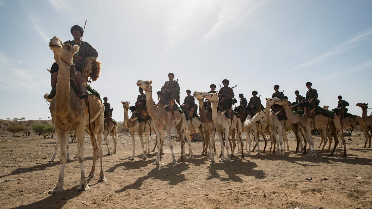 Photo de 250 chameaux de l’UE pour l’unité méhariste en Mauritanie