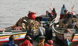 Photo de Sept pêcheurs mauritaniens portés disparus après un naufrage
