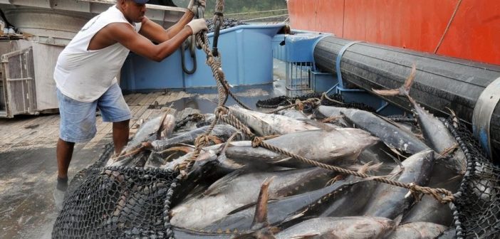 Photo de Sénégal : dénonciation d’accords de pêche non responsable