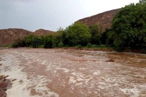 Photo de Hivernage 2022 en Mauritanie : des pluies abondantes partout