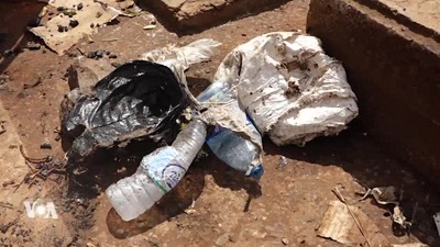 algerie bombe artisanale morts