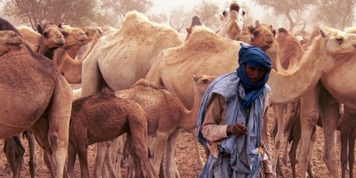 Photo de Contribution: Le drame des élites en Mauritanie…