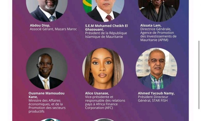 Africa ceo forum- invest in mauritania