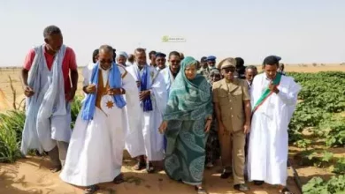 La commissaire à la sécurité alimentaire visite des fermes au Brakna 9 Photo de La commissaire à la sécurité alimentaire visite des fermes au Brakna