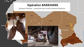 AFRIQUE – BARKHANE