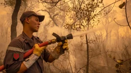 Photo de Maroc : des renforts pour maîtriser les feux de forêt