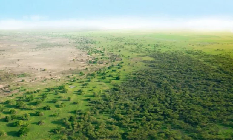 Vue aérienne de la Grande Muraille Verte au Sénégal