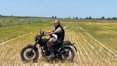 Photo de Les rizières du « triangle d’or » italien décimées par la sécheresse
