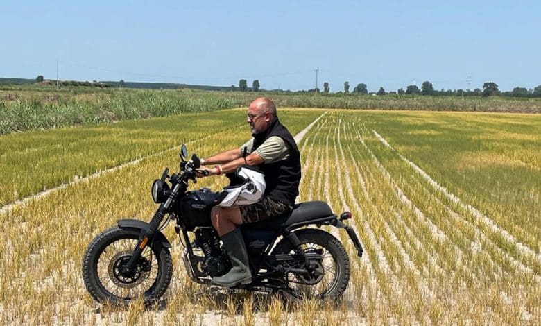 Photo de Les rizières du « triangle d’or » italien décimées par la sécheresse