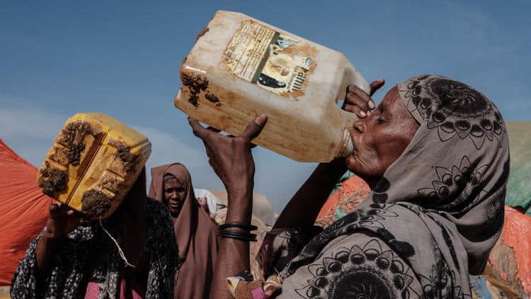 Photo de Un million de personnes déplacées par la sécheresse en Somalie
