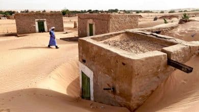 Photo de Pas de pluie en 11 ans ! Chinguitti  pourrait disparaître