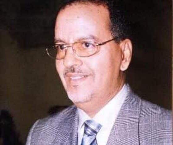 Mohamed Nani Consultant International