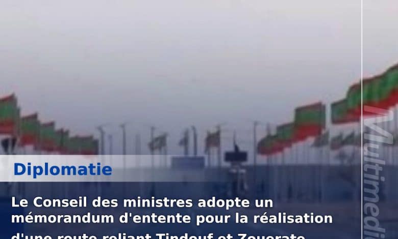 Photo de Algérie : Redéploiement de la diplomatie économique en Afrique et lancement de mégaprojets gaziers