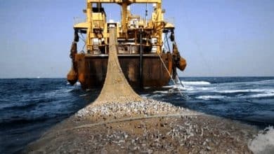 Photo de L’ONU appelée à placer les produits de l’exploitation illégale sous administration internationale