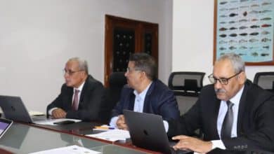 Photo de Réunion sur le suivi de l’accord de Pêche Mauritanie – UE