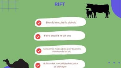 Photo de La FVR est une fièvre hémorragique virale aiguë