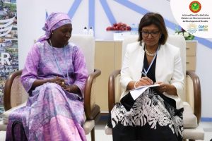 #COP27: activités de la semaine du ministre de l’Environnement (Reportage Photos)