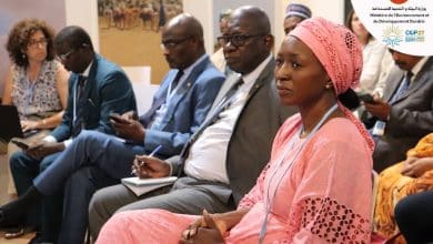 Journée consacrée à la Grande Muraille Verte (GMV). 7 Photo de Journée consacrée à la Grande Muraille Verte (GMV).