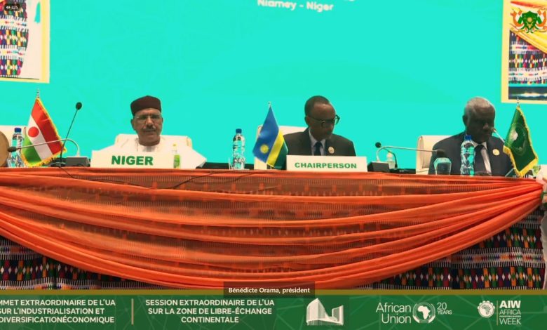 Niger: ouverture d'un double sommet de l'UA