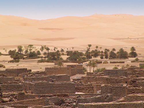 Tagant : Le ministre de l’Agriculture visite certaines oasis à Tichit.