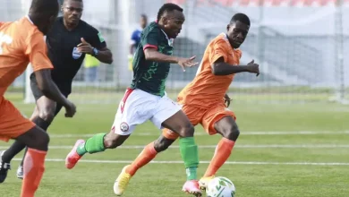 Photo de Préparation CHAN 2022 : Le Niger face à Madagascar pour son deuxième test