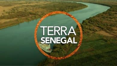Photo de Le Sénégal, le Mali, la Guinée et la Mauritanie collaborent pour l’aménagement du fleuve Sénégal