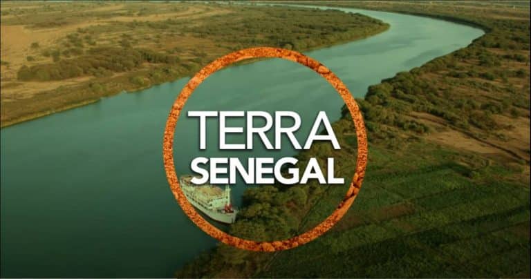 Le Sénégal, le Mali, la Guinée et la Mauritanie collaborent pour l’aménagement du fleuve Sénégal 1 Le Sénégal, le Mali, la Guinée et la Mauritanie collaborent pour l’aménagement du fleuve Sénégal