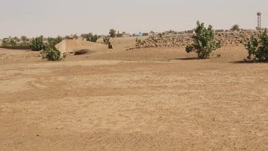 Photo de Monguel, un département à rebâtir… Alerte !