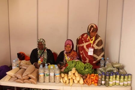 Mauritanie : l’ouverture officielle du Forum de Boghé sur l’Emploi et l’Entrepreneuriat des Jeunes et des Femmes
