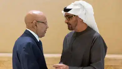 Photo de Les présidents mauritanien et émirati discutent du renforcement des relations bilatérales