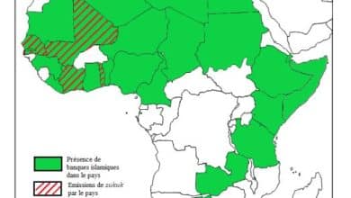 Présence de la finance islamique sur le continent africain 11 Photo de Présence de la finance islamique sur le continent africain