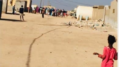 Un phénomène étrange dans le village d'Asleine de l'arrondissement de Nouamghar 1 Photo de Un phénomène étrange dans le village d’Asleine de l’arrondissement de Nouamghar