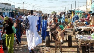 Photo de Marché du cinquième arrondissement : les bandes sévissent