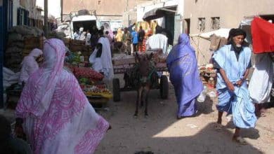 Mauritanie, société italienne: "l'ambassade améliore le climat des affaires" 5 Photo de Mauritanie, société italienne: « l’ambassade améliore le climat des affaires »