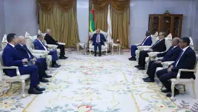 Photo de M. Attaf reçu par le président mauritanien Ould Cheikh El-Ghazaouani- AL24 News