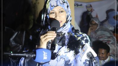 Union pour la Démocratie et le Progrès organise un meeting 5 Photo de Union pour la Démocratie et le Progrès organise un meeting