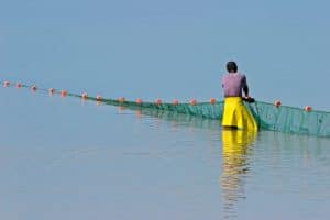 Une utilisation durable des ressources pourrait protéger l'avenir de la pêche en Afrique de l'Ouest.