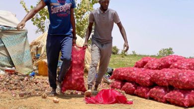 Mauritanie : des Jeunes agriculteurs demandent d’aide financière 20 Photo de Mauritanie : des Jeunes agriculteurs demandent d’aide financière