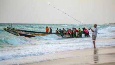 Mauritanie : échouage massif des mulets sur les plages de NDB 4 Photo de Mauritanie : échouage massif des mulets sur les plages de NDB