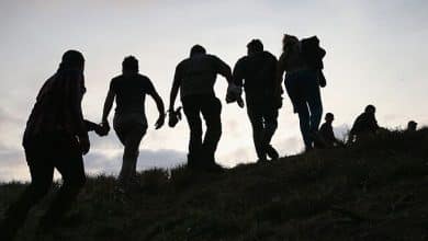 Photo de Immigration :À qui profitent les crimes ?