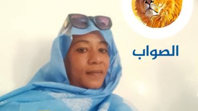 Mint Segane : un engagement sans faille pour la promotion de la femme qui mérite d’être porté au Parlement 6 Photo de Mint Segane : un engagement sans faille pour la promotion de la femme qui mérite d’être porté au Parlement