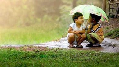 Sous la pluie, ce jour à Nouakchott 4 Photo de Sous la pluie, ce jour à Nouakchott