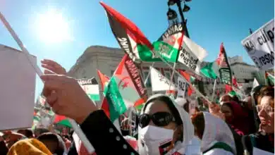 Le revirement de Madrid est contraire au droit international 3 Photo de Le revirement de Madrid est contraire au droit international