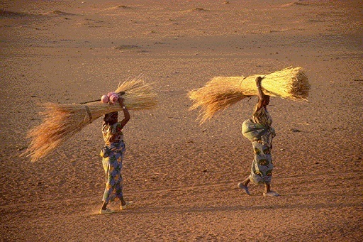 Photo de Egalité femmes-hommes : en Afrique, de nombreux freins persistent