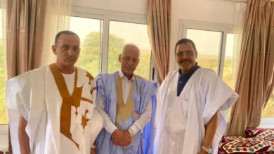 Photo de Des hommes d’affaires en Adrar façonnent le succès du parti El-Insaf.
