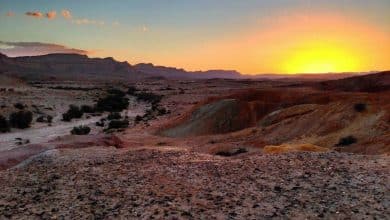Energie : la Mauritanie à la conquête de la transition énergétique 5 Photo de Energie : la Mauritanie à la conquête de la transition énergétique