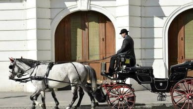 Villes les plus agréables au monde : Vienne en tête, Paris rétrograde 8 Photo de Villes les plus agréables au monde : Vienne en tête, Paris rétrograde