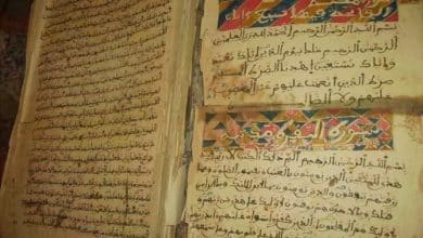 A toi l'imbécile auteur de l'horrible autodafė du Saint Coran . 7 Photo de A toi l’imbécile auteur de l’horrible autodafė du Saint Coran .