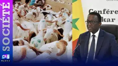 Marchés de bétail de la région de Thiès : Visite du Premier ministre, Ministre de l’Elevage et des Productions animales, Amadou Bâ 4 Photo de Marchés de bétail de la région de Thiès : Visite du Premier ministre, Ministre de l’Elevage et des Productions animales, Amadou Bâ