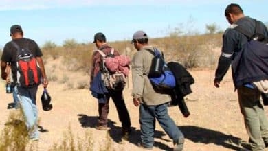 Un convoi de migrants intercepté à Sonora 7 Photo de Un convoi de migrants intercepté à Sonora